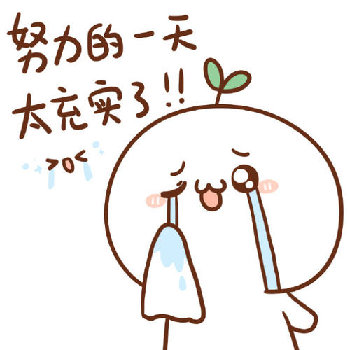 充实的一天