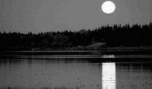 我心安处，何妨喧嚣