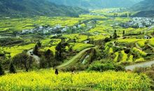 寻找春天的颜色