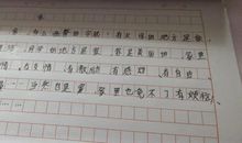 [PK赛]关于自我介绍的作文：这就是我_450字