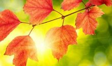 我懂得了珍爱生命