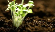 我在风雨中学会了勇敢面对