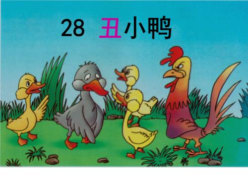 丑小鸭继续
