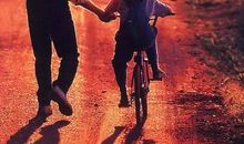 感谢您，一直陪伴着我们