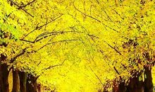 与坚持一起走过的日子