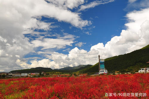 他无与伦比