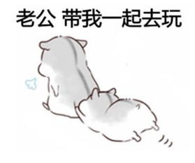 我错了