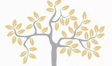 阅读，让我渐至佳境