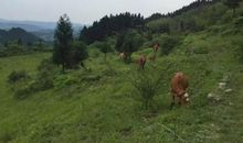 在家乡的快乐生活