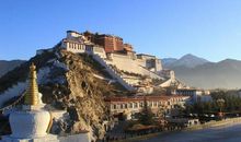 如果可以，我想成为一棵小草