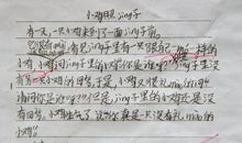 [PK赛]关于自我介绍的作文：早上好，镜子外的我_550字