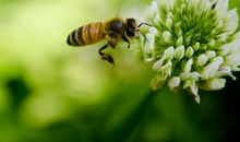 点燃生命的季节