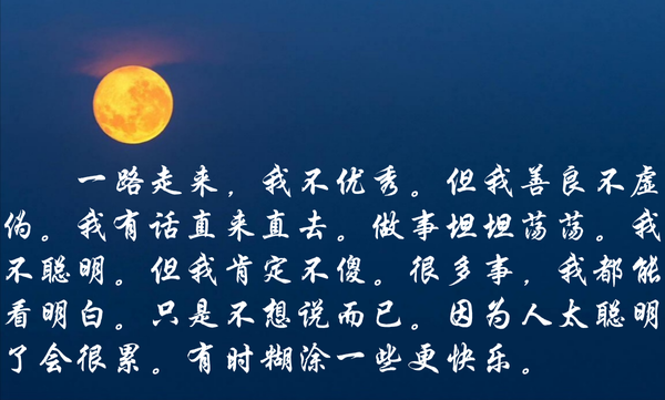 我真笨