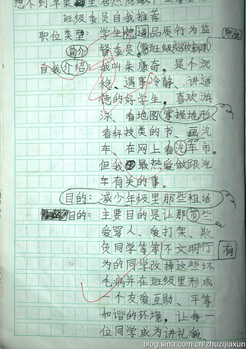 [PK赛]自我介绍的作文：我的自我写真_550字