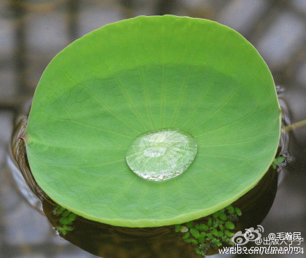 月亮仍然持续
