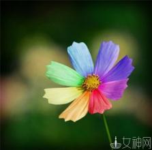 寻找瞬间的美丽