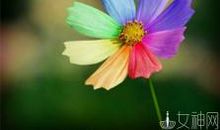 寻找瞬间的美丽