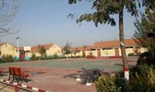 不曾遗忘的回忆