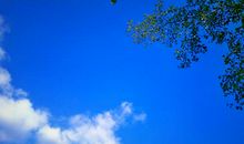 云淡风轻的日子