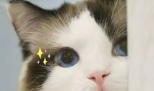 那个影响了我的人