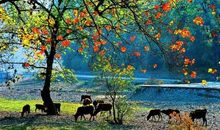 那一处风景打动了我