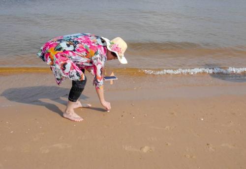 在海滩上捡贝壳