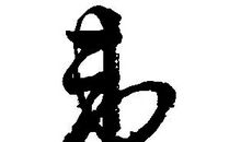 守护我们的根——汉语