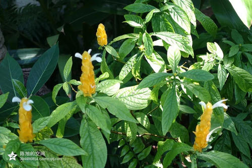 总是四个季节
