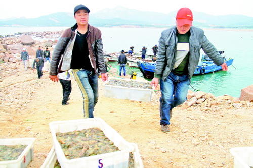 有一种清晰的爱叫做孝顺