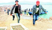 有一种清澈的爱叫孝