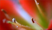 善待他人就是善待自己