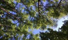 微风拂过的时候