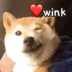 我有很多小狗