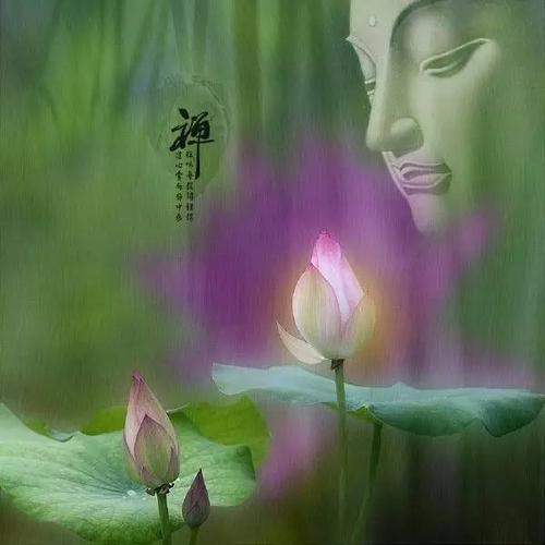 莲花