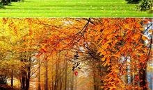 家乡的春夏秋冬