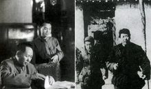 关于元旦的作文：如梦令　元旦 毛泽东（1930年1月）_200字