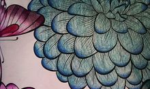 自然心灵的秘密