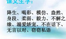 [PK赛]关于自我介绍的作文：你看，这就是我_250字