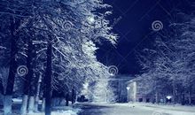 冬天的城市_1200字