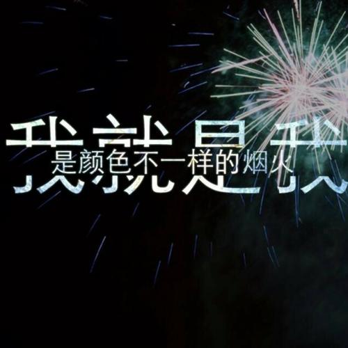 [PK赛]自我介绍的作文：我是我，不同的烟火_1500字