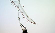 面对生活需要智慧