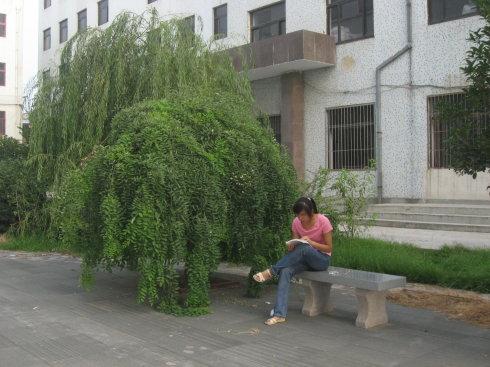 校园场景