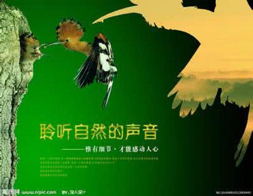 听大自然