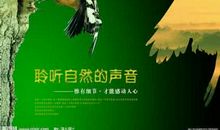 倾听自然之音