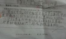 [PK赛]关于自我介绍的作文：自己_100字