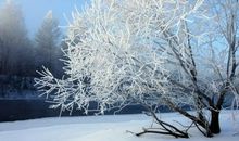 四季如画的水上公园