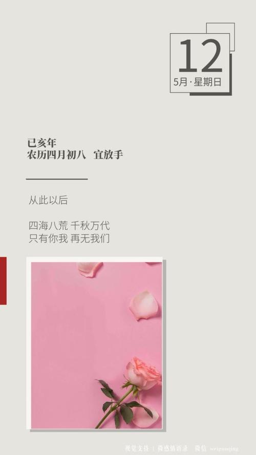 三圣很幸运见到你