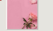 遇见你，三生有幸