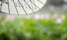 心若无尘，清风自来