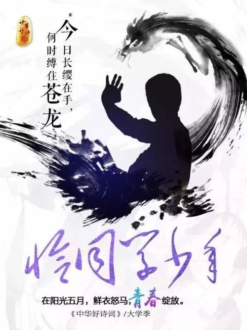 杨振兴中华之茶年轻时